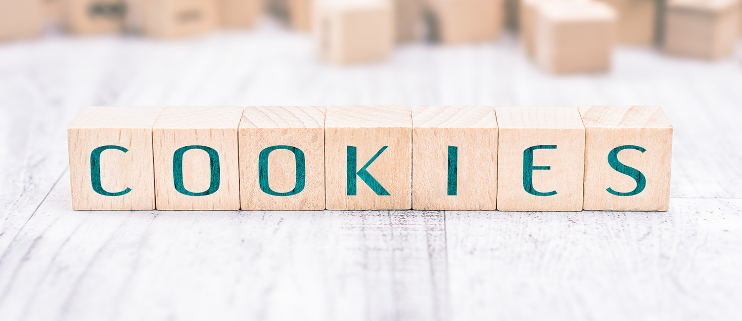 Website Cookie Policy For Silicon Valley Inn