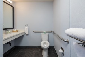 Accessible toilet