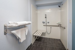 Accessible room - Accessible shower